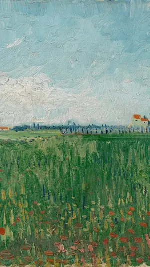 Field with Poppies wallpaper