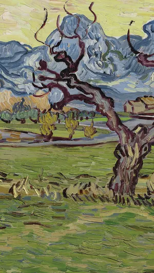 Fields near the Alpilles wallpaper