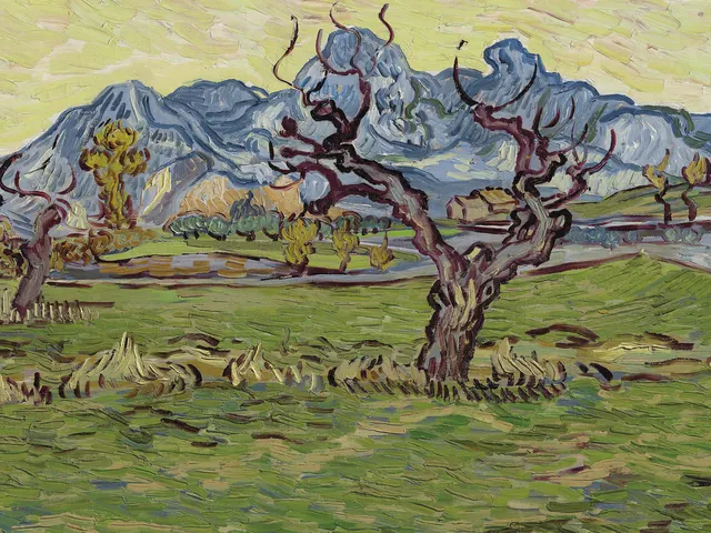 Fields near the Alpilles by Vincent van Gogh, horizontal tablet wallpaper