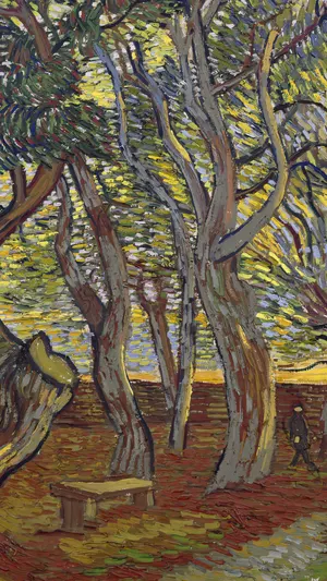 The garden of Saint Paul s Hospital wallpaper