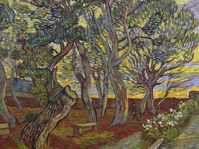 The garden of Saint Paul s Hospital by Vincent van Gogh, horizontal tablet wallpaper