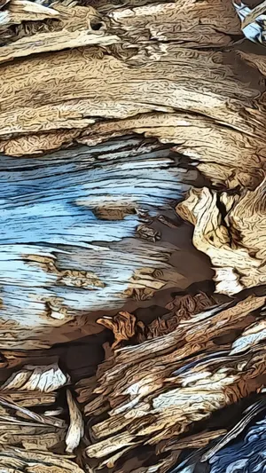 Wood Remembers wallpaper