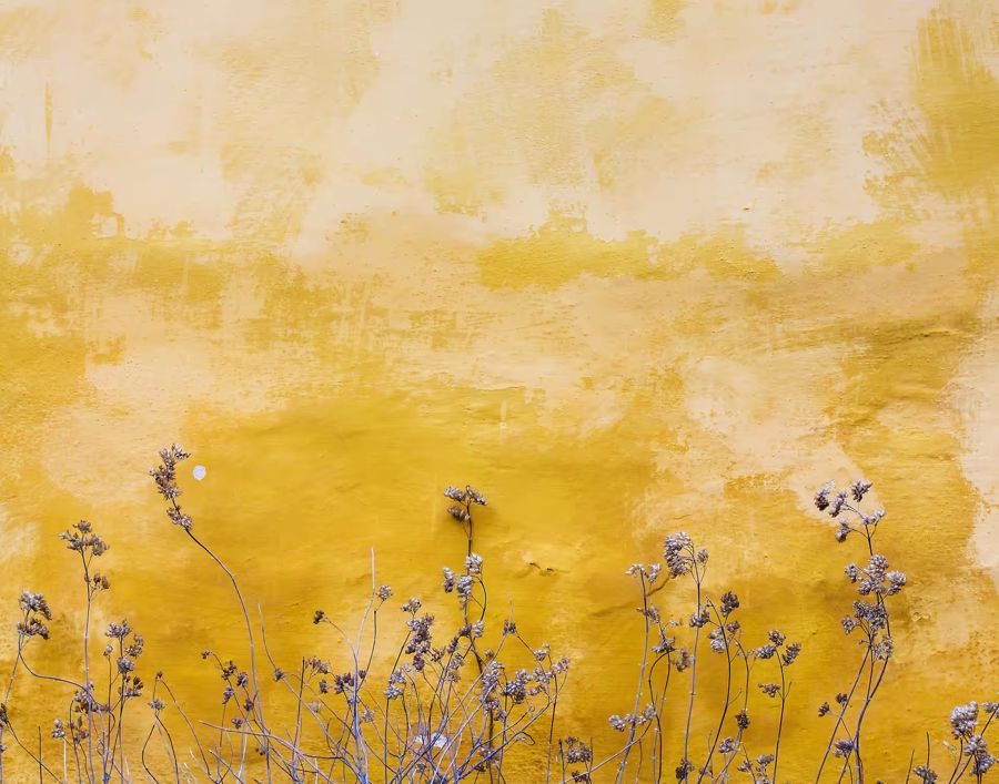 Yellow Texture Flowers Minimalist