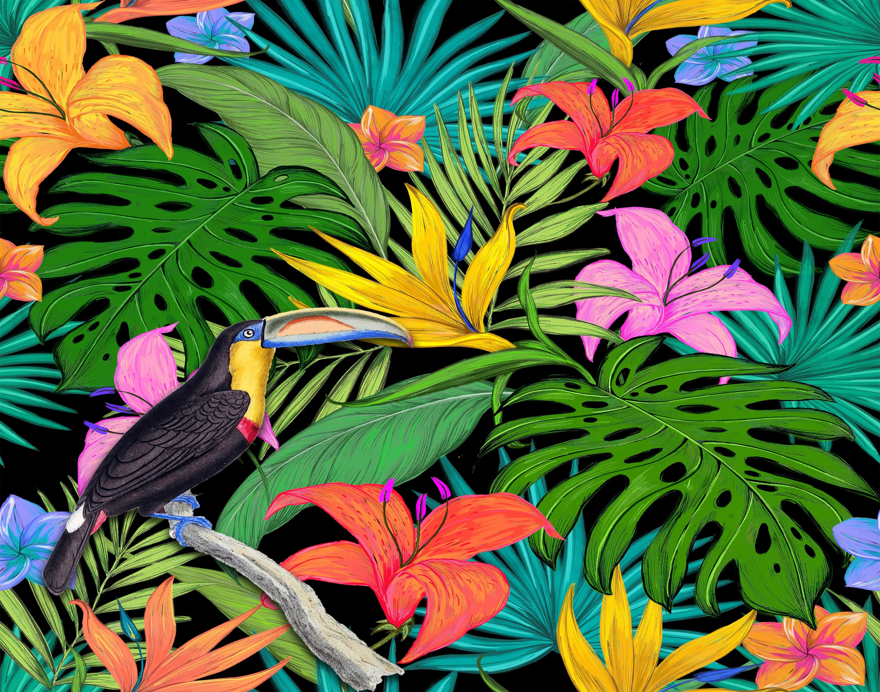 Toucan Wildlife Nature Botanical, printable wall art.