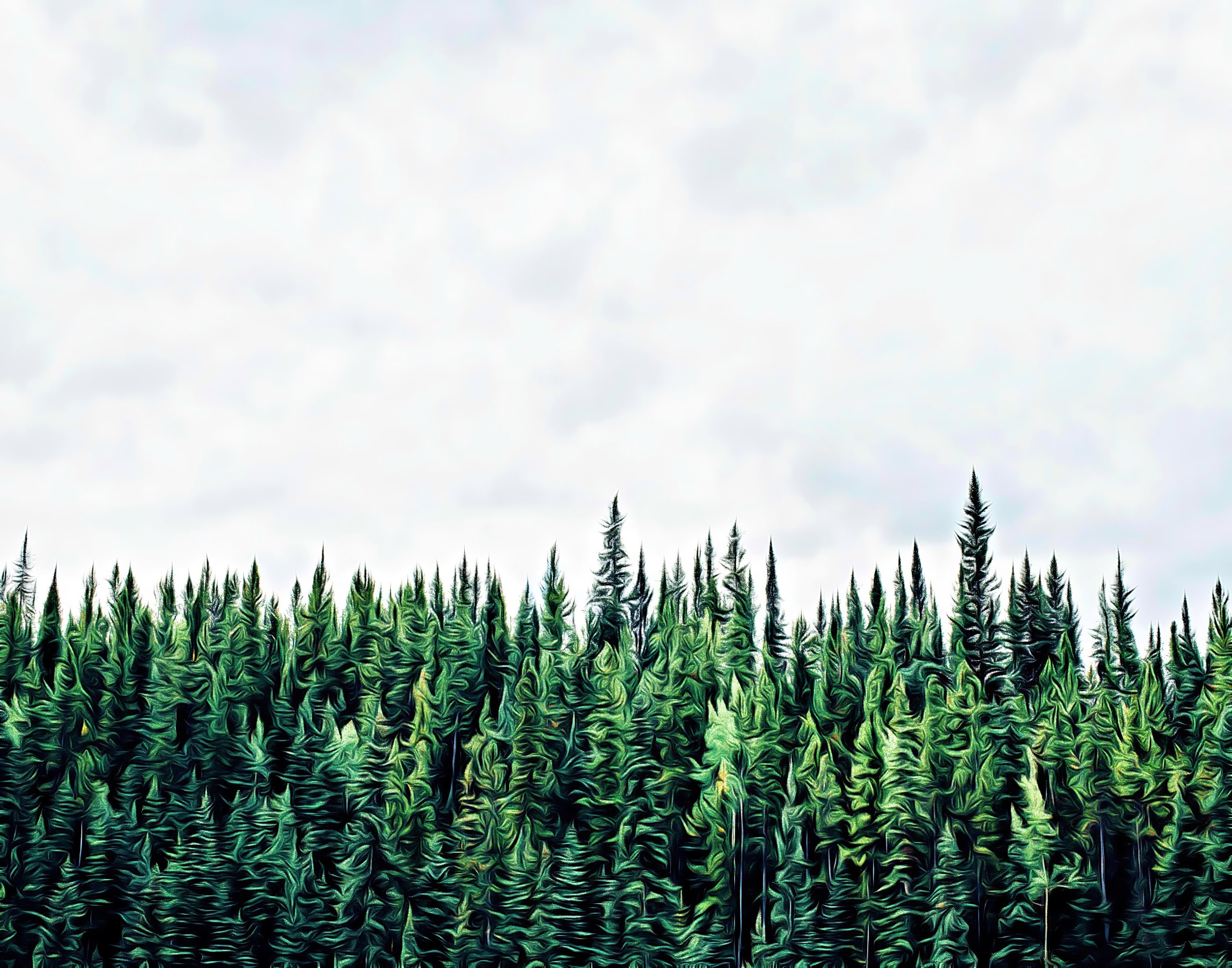 Green Forest Nature Pine Trees – Printable Wall Art printable art in Forests style