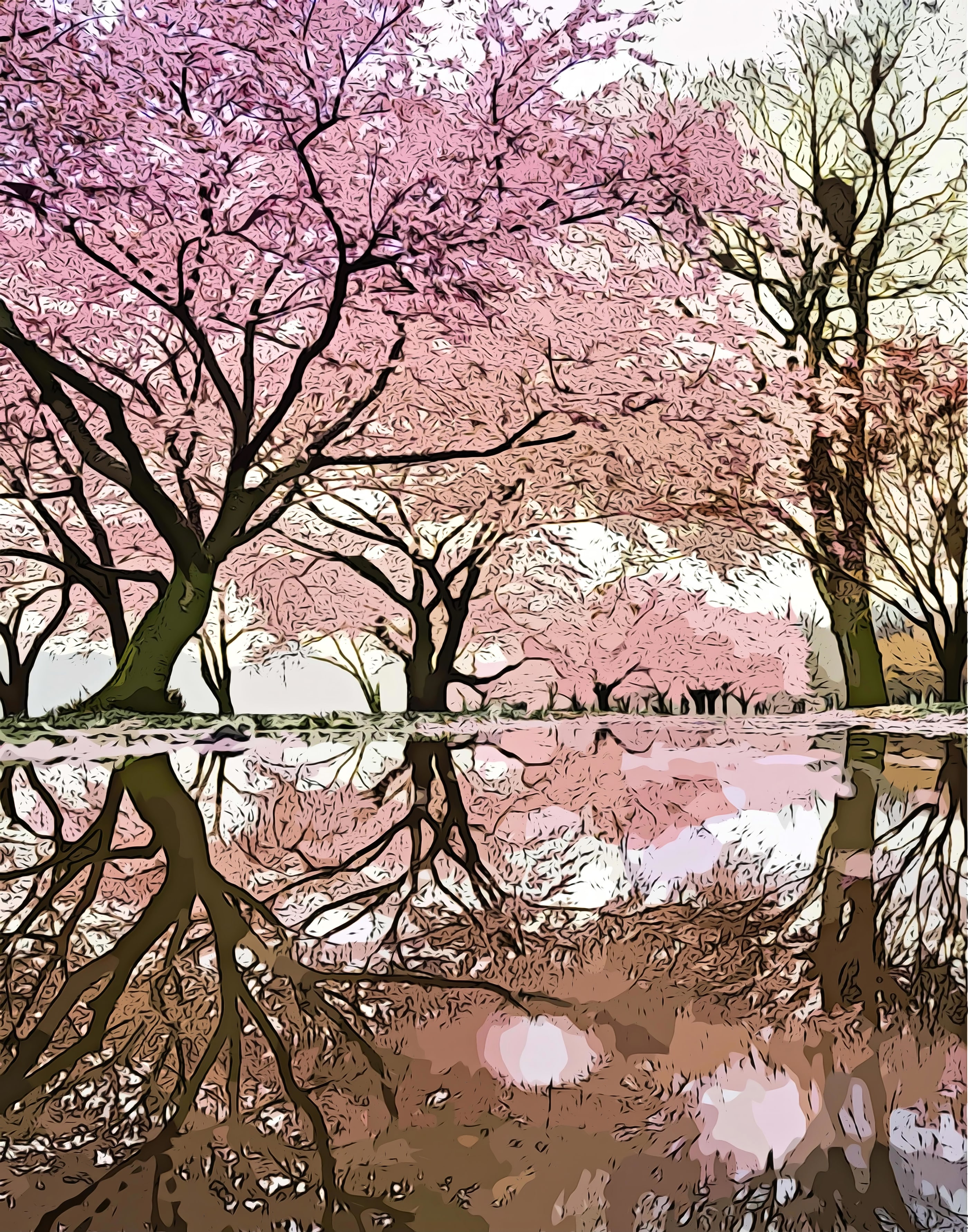 Pink Blossom Trees Reflection Cherry, printable wall art.